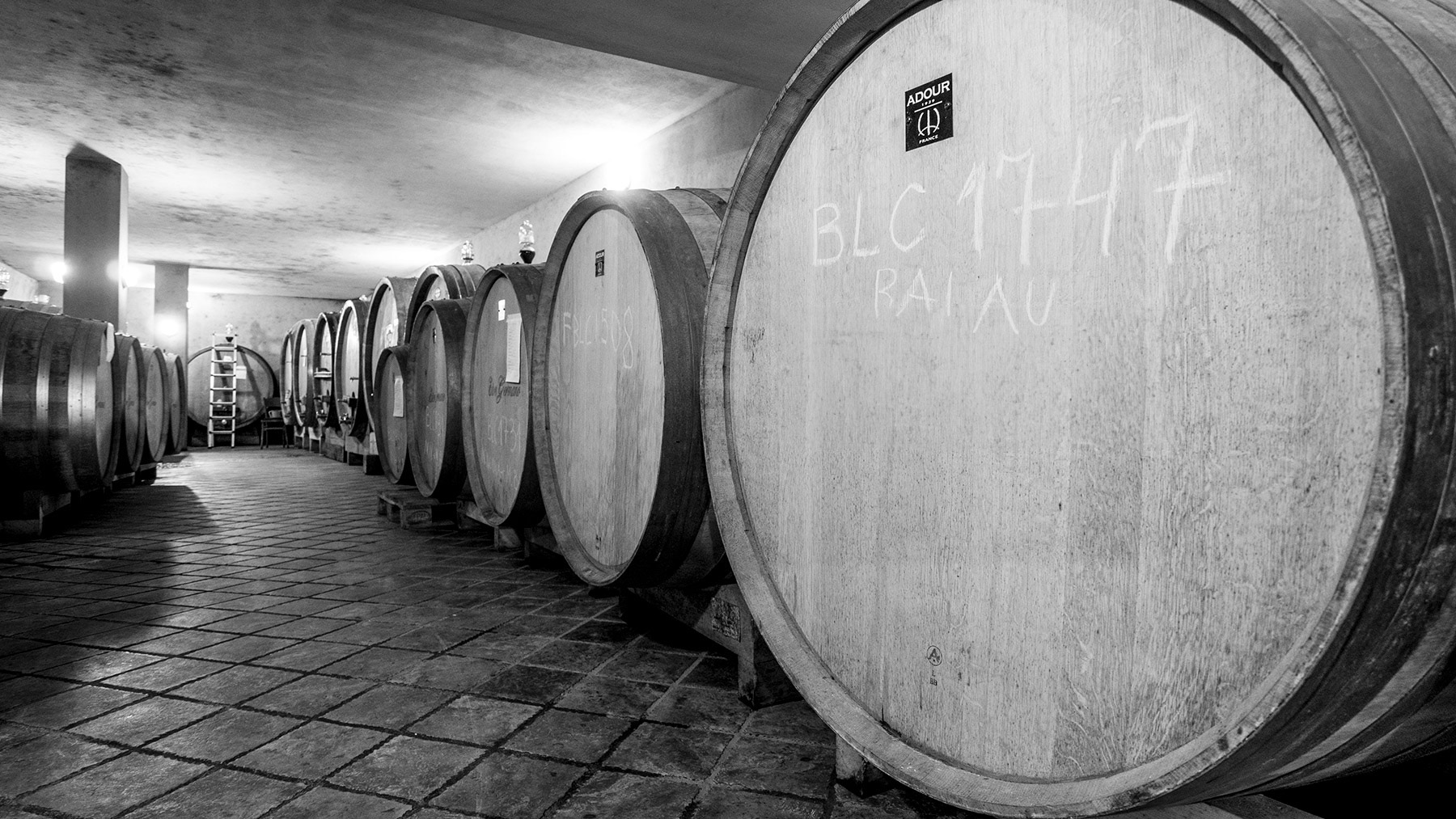 ettore germano cantina vinicola con grandi botti in legno per l’affinamento del vino nelle langhe, ambiente sotterraneo in bianco e nero